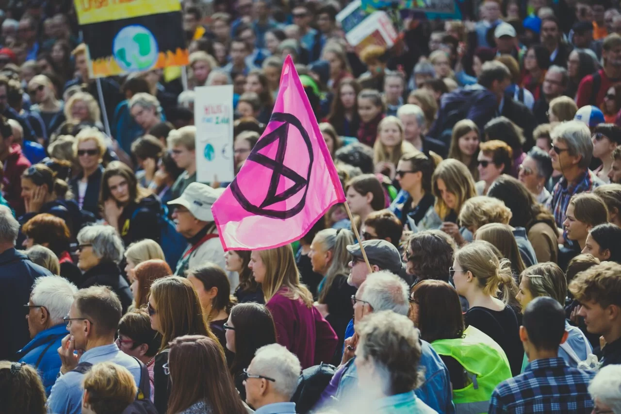 Klimaatactivisten zijn als vogels